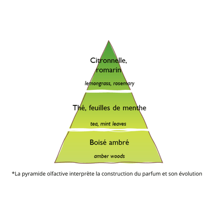 Vela Perfumada recargable Citronelle & Menthe 180 grs de la marca Esteban Paris Parfums en Aromaticks