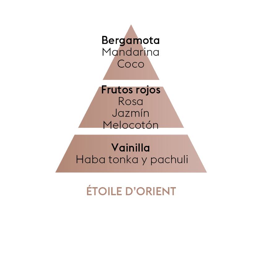 Perfume lámpara catalítica Étoile d'orient 500 ml Maison Berger de la marca Maison Berger Paris en Aromaticks