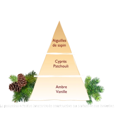 Bouquet Sapin Exquis 100 ml Esteban Paris de la marca Esteban Paris Parfums en Aromaticks