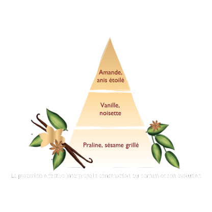 Bouquet Vainilla Etoliee 100 ml Esteban Paris de la marca Esteban Paris Parfums en Aromaticks