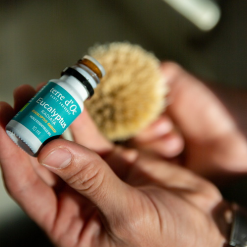 BIO Eucalyptus Radiata Essential Oil 10 ml Terre d'Oc
