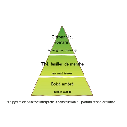 Concentré de parfum Citronnelle et Menthe 15 ml