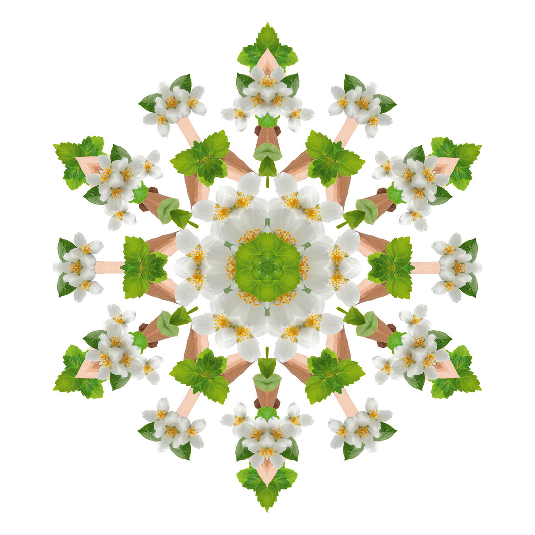 Perfume lámpara catalítica  Home Sweet home 500 ml Maison Berger