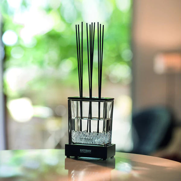 Bouquet Triptyque Luminous Base