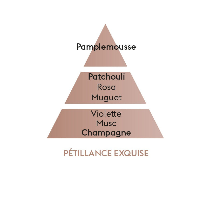 Cofre lámpara catálitica Rosalie Grise Petillance Exquise Maison Berger de la marca Maison Berger Paris en Aromaticks