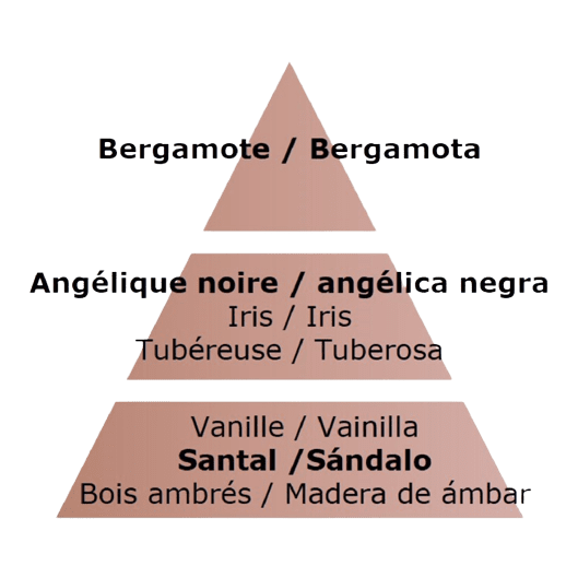 Angelique Noire home perfume 1000 ml