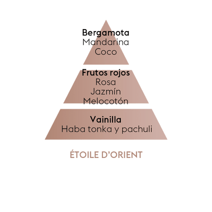 Perfume lámpara catalítica Étoile d'orient 500 ml Maison Berger de la marca Maison Berger Paris en Aromaticks