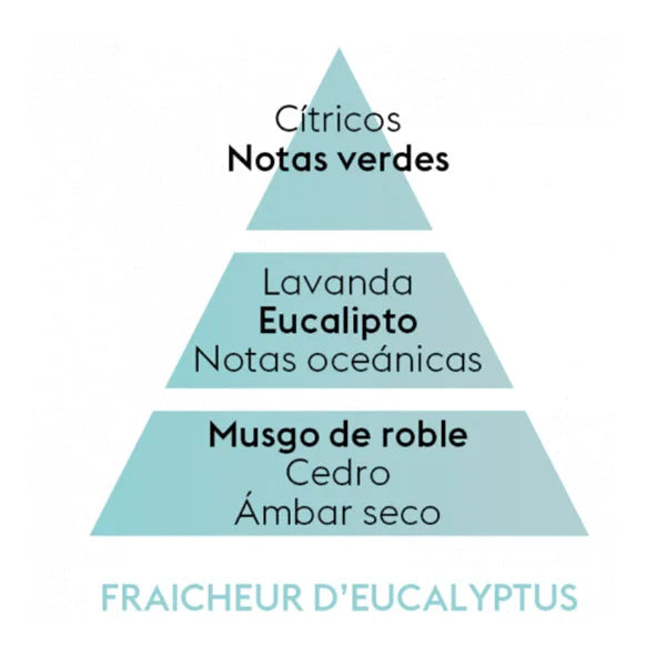 Perfume lámpara catalítica Frescor de Eucalyptus 500 ml | Alivio Gripal y Relajante de la marca Maison Berger Paris en Aromaticks
