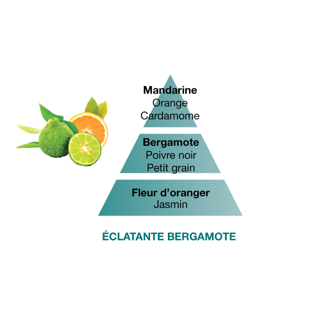 Perfume lámpara catalítica Eclatante Bergamote 500 ml Maison Berger de la marca Maison Berger Paris en Aromaticks