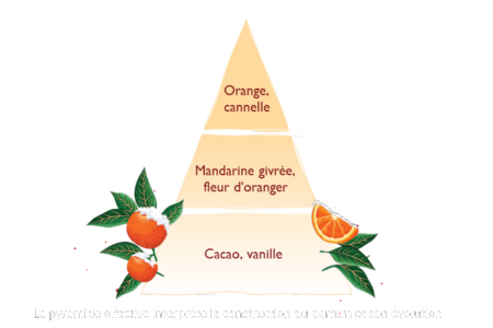 Incienso Mandarina Givrée Esteban Paris aromaticks