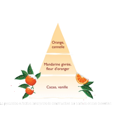 Bouquet Mandarina Griveé 100 ml Esteban Paris