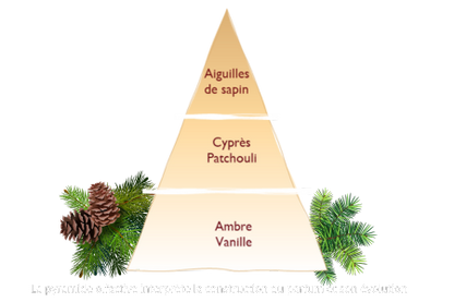 Incienso Sapin Exquis Esteban Paris aromaticks