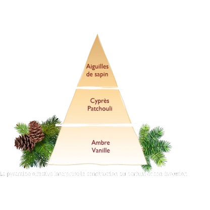 Bouquet Sapin Exquis 100 ml Esteban Paris de la marca Esteban Paris Parfums en Aromaticks