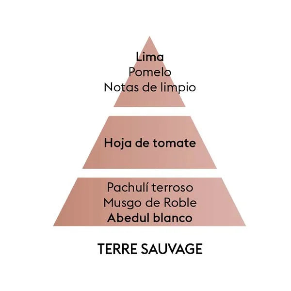 Recarga Bouquet Terre Sauvage 200 ml Maison Berger de la marca Maison Berger Paris en Aromaticks