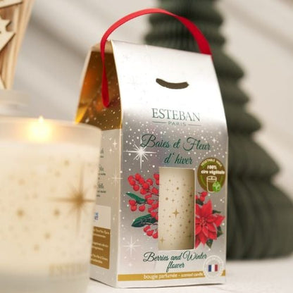 Vela Baies Et Fleur d'Hivern 180 gr Esteban Paris de la marca Esteban Paris Parfums en Aromaticks