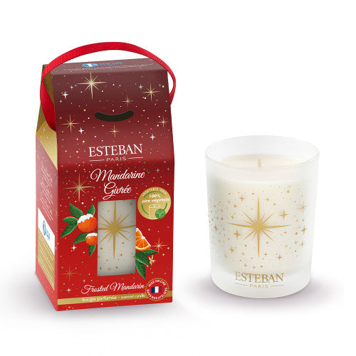 Vela Mandarina Escarchada 180 Gr Esteban Paris