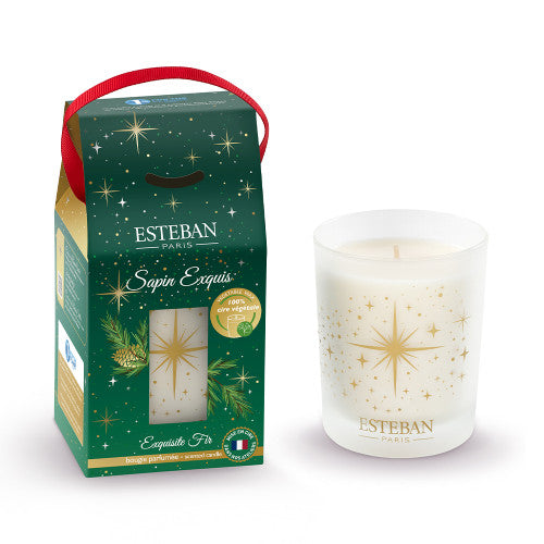 Vela perfumada Sapin Exquis 180 gr Esteban Paris