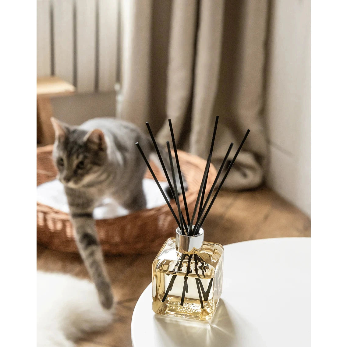 Bouquet Anti Olor Mascotas 100 ml de la marca Maison Berger Paris en Aromaticks