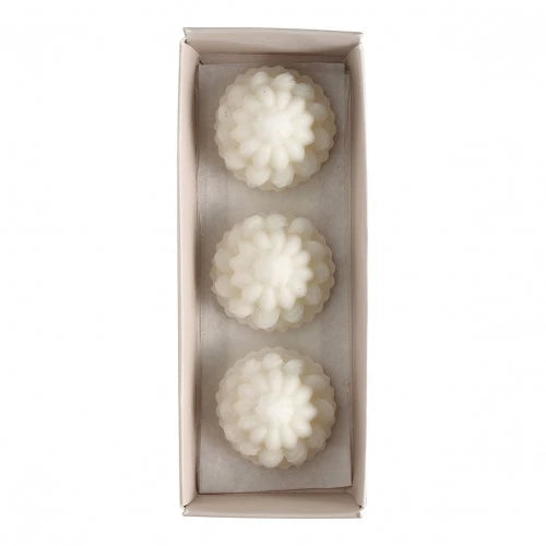 Marquise soluble waxes 3 units Mathilde M.