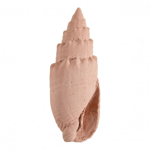 Neceser Nerolí Paradís Mathilde M