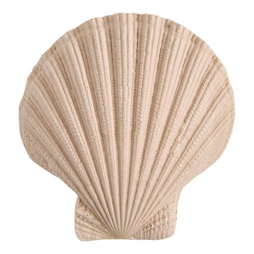 Neceser Perle Coco Mathilde M