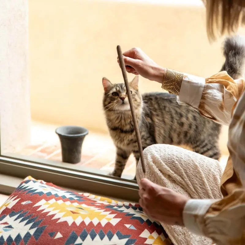 Incienso Citronela Terre d'Oc