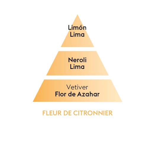Perfume lámpara catalítica Fleur De Citrioner 500 ml Maison Berger de la marca Maison Berger Paris en Aromaticks