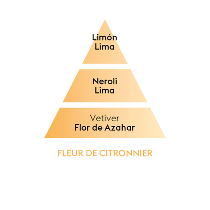 Perfume lámpara catalítica Fleur De Citrioner 500 ml Maison Berger de la marca Maison Berger Paris en Aromaticks