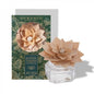 Bouquet Flor de madera Al pie del Abeto 100 ml aromaticks