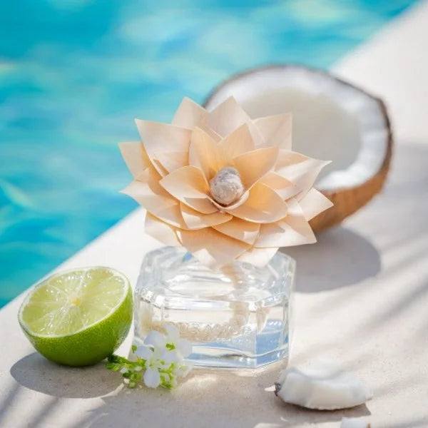 Bouquet Flor de Madera Agua de Coco 100 ml | Durance | Aroma Exótico