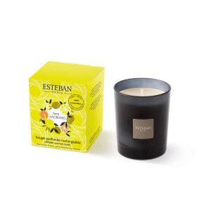 Esteban Paris Parfums - Vela perfumada Terre d,Agrumes 180 gr - Aromaticks
