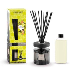 Esteban Paris Parfums - Bouquet perfumado Ellipse Terre d,Agrumes 200 ml - Aromaticks