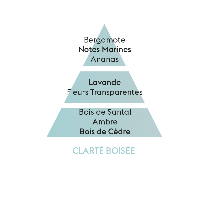 Perfume lámpara catalítica  Clarté Boisée 500 ml Maison Berger