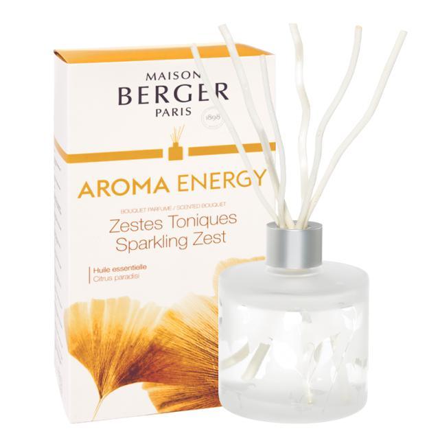 Bouquet perfumado Aroma Energy 180 ml-Maison Berger Paris-Aromaticks