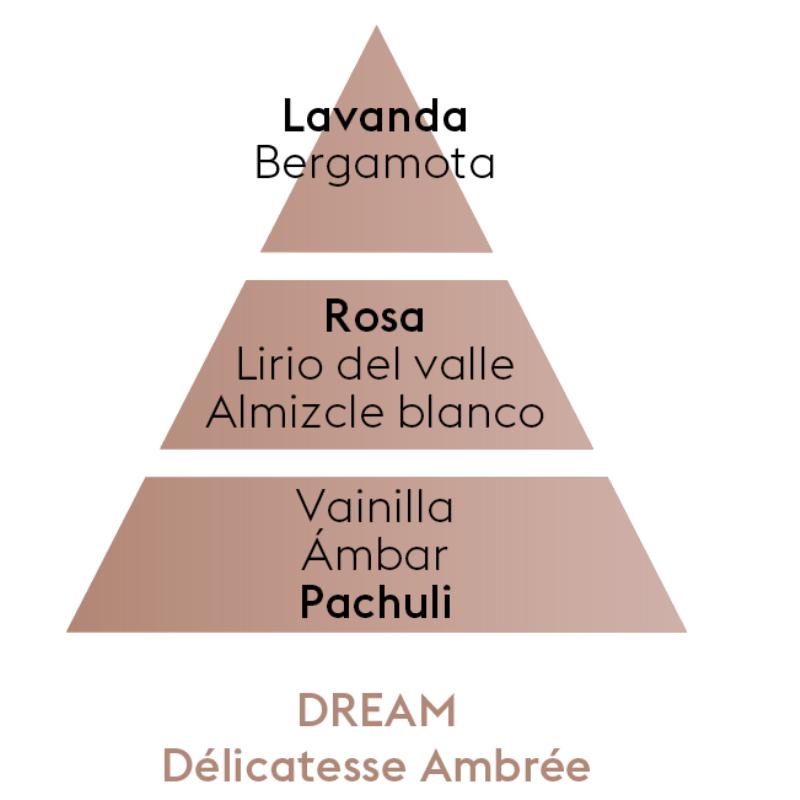 Pirámide olfativa DREAM, con salida a Lavanda, corazón a Rosa y fondo a Pachuli