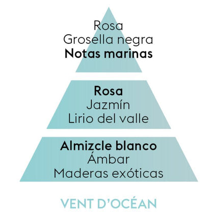 Difusor coche Vent d'Océan aromaticks