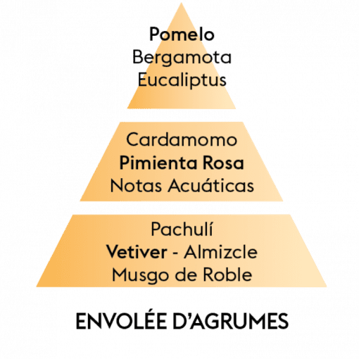 Pack of 2 Envolee d car diffuser refills, Agrumes