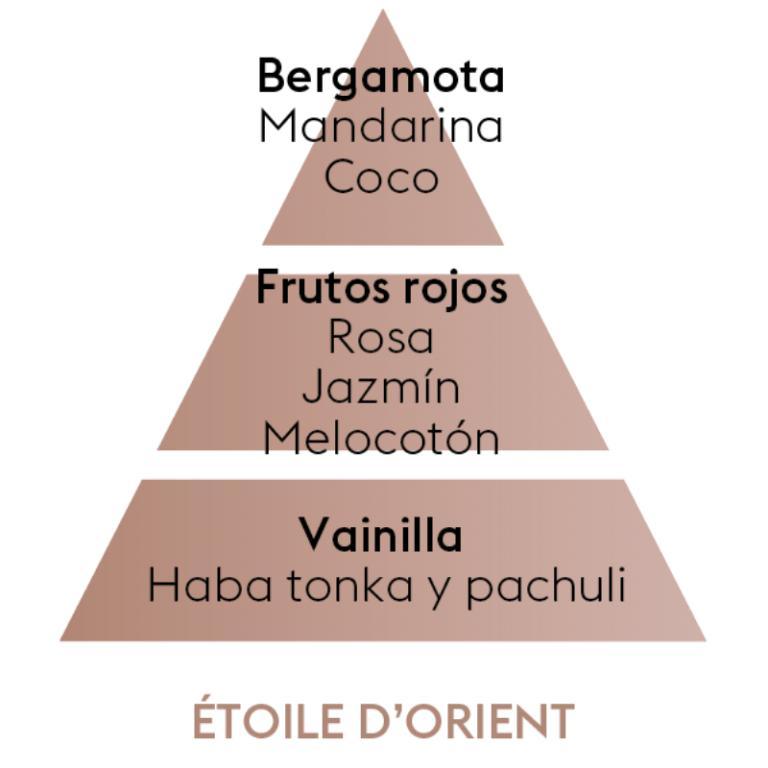 Pack of 2 Etoile Orient car diffuser refills