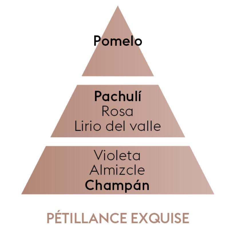 Piramide olfativa del perfume de hogar Pétillence exquise, con salida de Pomelo, corazón de Pachulí y fondo de Champán