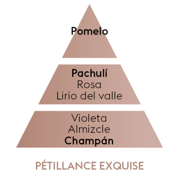 Maison Berger Paris - Recarga bouquet Petillance Exquise 400 ml - Aromaticks