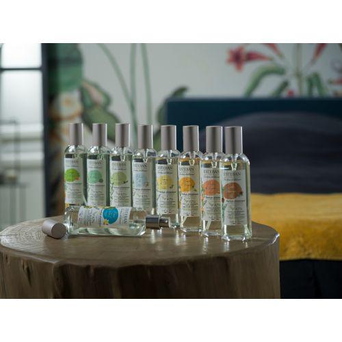 Vaporizador Ambientador Azahar 100 ml-Esteban Paris Parfums-Aromaticks