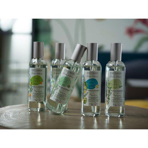 Vaporizador Té Verde y naranja 100 ml.-Esteban Paris Parfums-Aromaticks